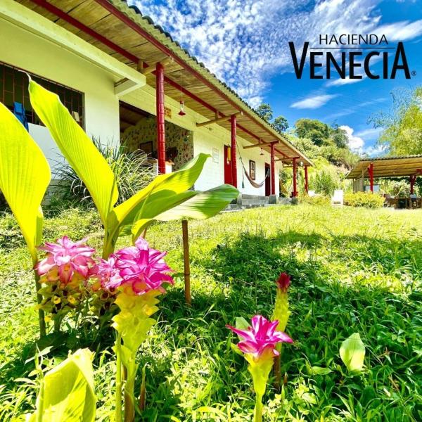 På bilden syns objektet Hacienda Venecia Hostel som ligger i staden Manizales.
