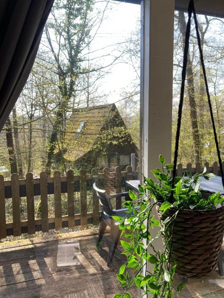 Bilde 3: Chalet 42 - Durbuy