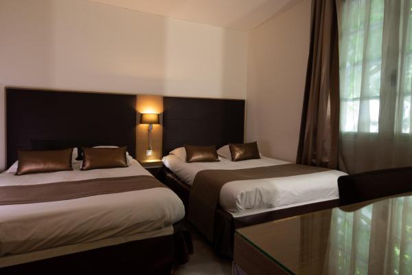 Hotel Restaurant Du Centre Et Du Lauragais - Castelnaudary