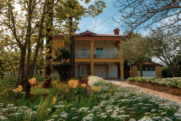 A la foto es mostra l'objecte Apartment Villa Olga situat a la ciutat de Poreč.