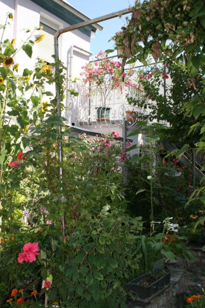 写真にはヴォルムス市にあるTerasenAppartementが写っています。