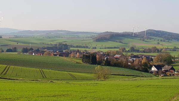 Fotografie 7: Waldblick