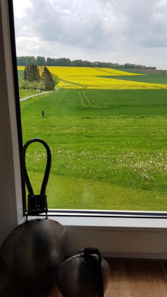 Fotografie 2: Waldblick