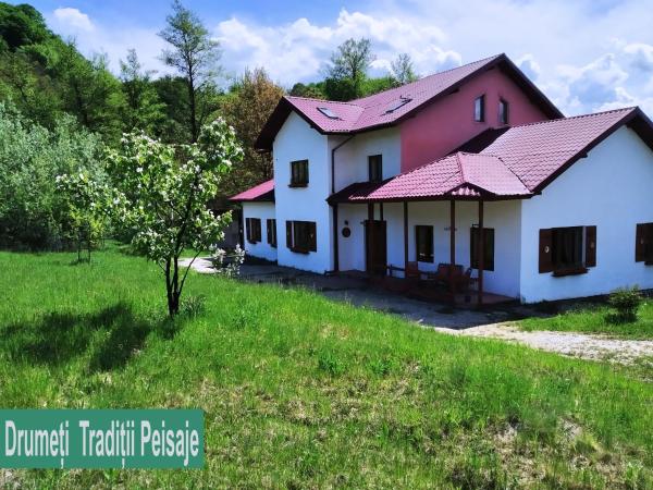 A la foto es mostra l'objecte La Trovantzi situat a la ciutat de Bărbăteşti.