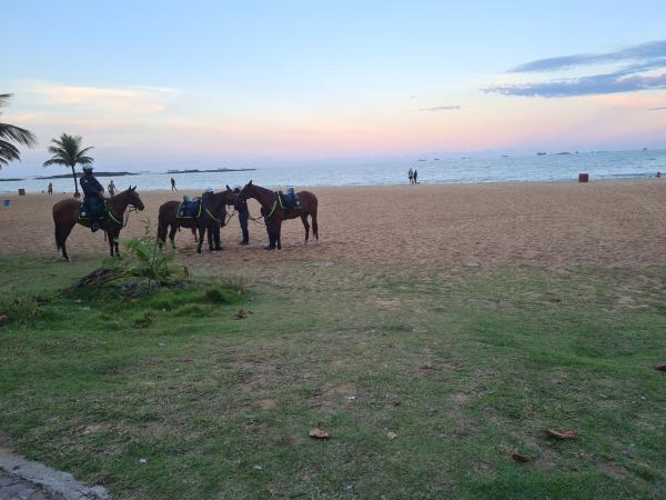 Foto 6: Pasárgada 906, academia, free bikes e piscina aquecida