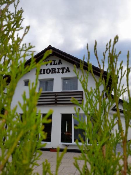 На фото показан объект Vila Miorita, расположенный в городе Sebeşel.