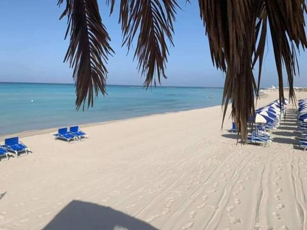 A la foto es mostra l'objecte Bilocale vista spiaggia 10 metri dal mare situat a la ciutat de Torre Mozza.