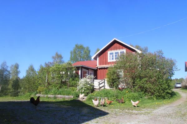 Cozy Farm Cottage Near Romme Alpin And Other Outdoor Activities In Dalarna Free Wifi Free Parking - Smedjebacken