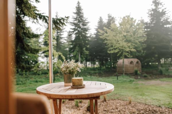 Bild 3: Tiny House, Kleinod im Grünen
