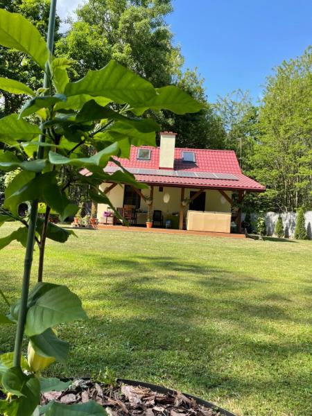 Na zdjęciu widoczny jest obiekt Uchankowo pod Łowiczem położony w mieście Chlebów.