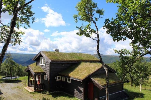 A la foto es mostra l'objecte Storemyr by Norgesbooking - cabin with amazing view situat a la ciutat de Hol.