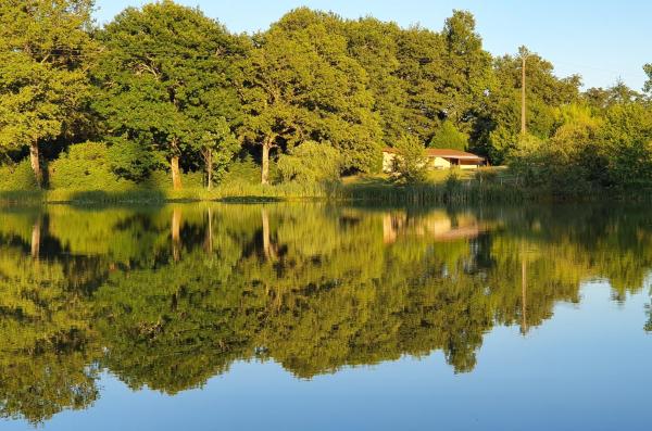 A la foto es mostra l'objecte Exclusive countryside retreat with private lake situat a la ciutat de Brigueuil.