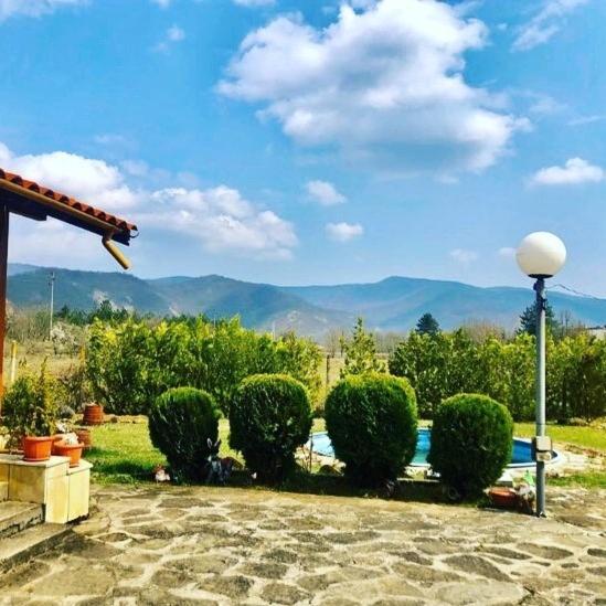 A la foto es mostra l'objecte Къща за гости Симона яз.Тича situat a la ciutat de Kamchiya.