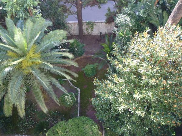 Foto 4: Centre, deux pièces, calme, terrasse plein sud
