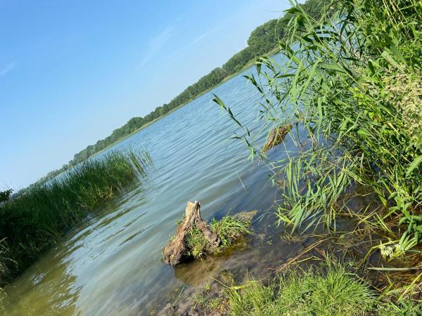 Billede 7: K 357 - Low budget Hotel in Ratekau bei Lübeck