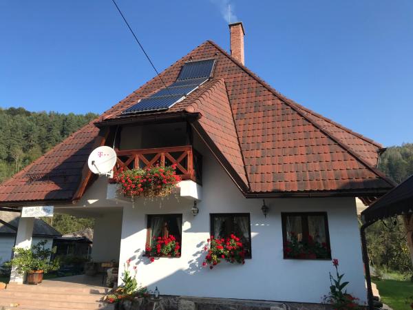 Pensiunea Dealul Cu Melci - Transylvania