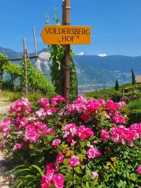 Voldersberghof - Coredo