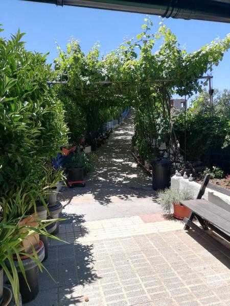Nella foto è visibile l'oggetto Casa Mari Carmen y Jose situato nella città di Adeje.