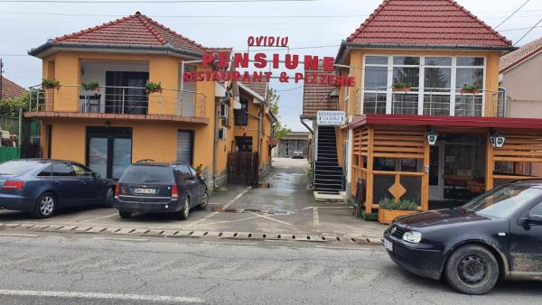 Na fotografii je vidět objekt PENSIUNE RESTAURANT OVIDIU nacházející se ve městě Valea lui Mihai.