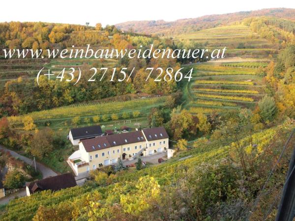 Auf dem Foto ist das Objekt Weinbau Weidenauer in der Stadt Bacharnsdorf zu sehen.