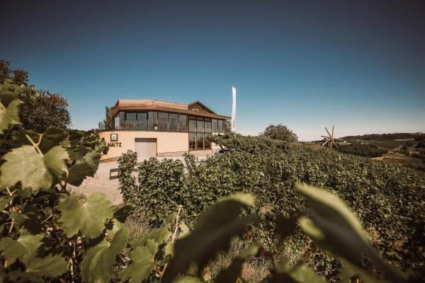 Na fotografii je vidět objekt Weinhotel Maitz Wolfgang nacházející se ve městě Sulz.