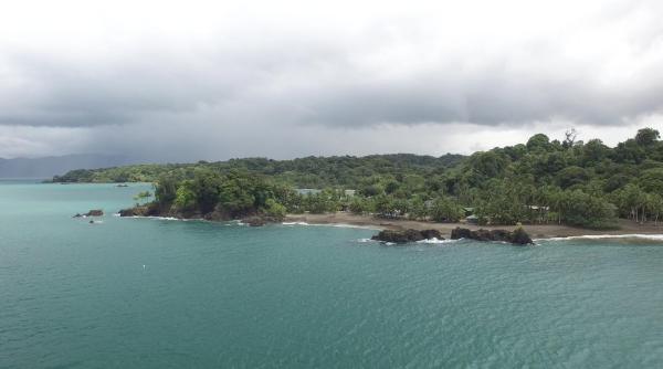 Nella foto è visibile l'oggetto Ecolodge Mar y Rio situato nella città di Nuquí.