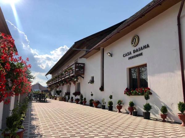 Na zdjęciu widoczny jest obiekt Casa Daiana położony w mieście Călineşti.
