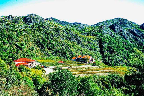 Nella foto è visibile l'oggetto Eco Winery Lipovac Apartments situato nella città di Radomir.