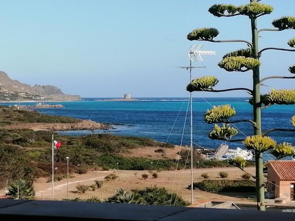 Στη φωτογραφία φαίνεται το αντικείμενο La Finestra sulla Torre που βρίσκεται στην πόλη Stintino.