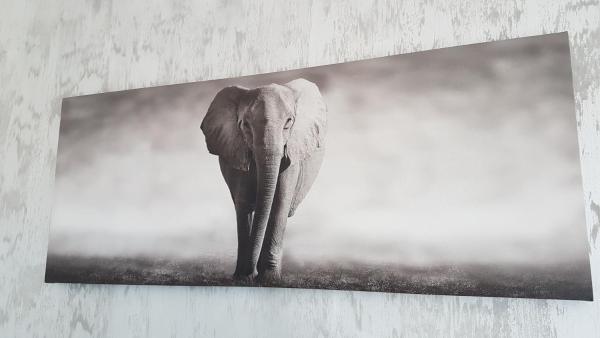 Na fotografii je vidět objekt Casa Magnolia nacházející se ve městě Douăzeci şi Trei August.
