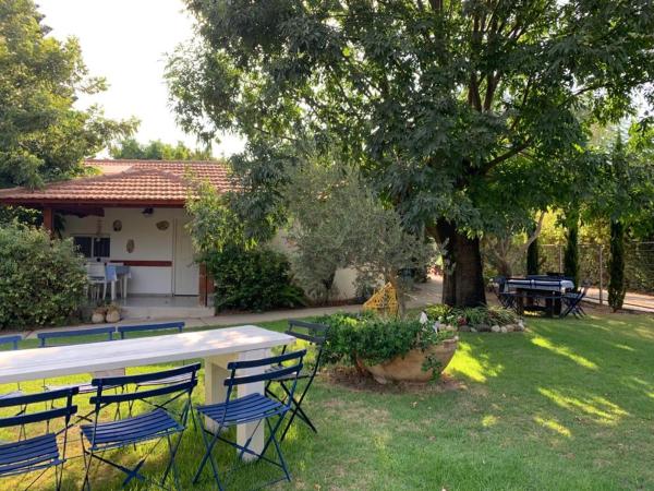 A la foto es mostra l'objecte Orhan Havaya situat a la ciutat de Dan.