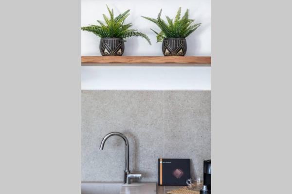 Apleton Suites photo 8