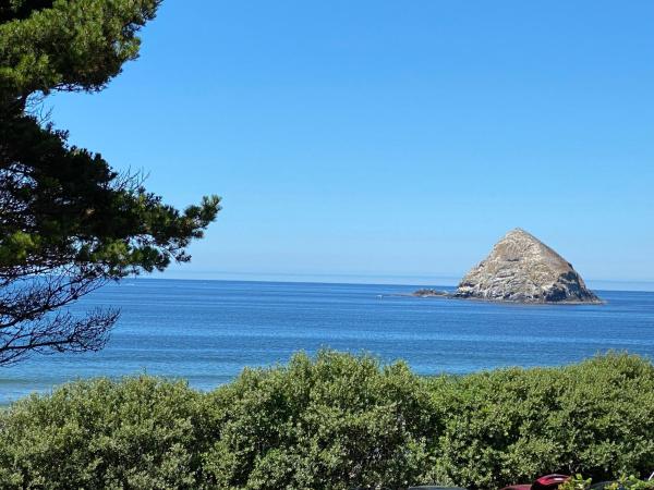 Na zdjęciu widoczny jest obiekt Oceanside Ocean Front Cabins położony w mieście Oceanside.