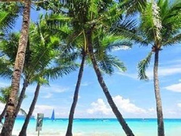 Na fotografii je vidět objekt Boracay Coco Huts nacházející se ve městě Boracay.