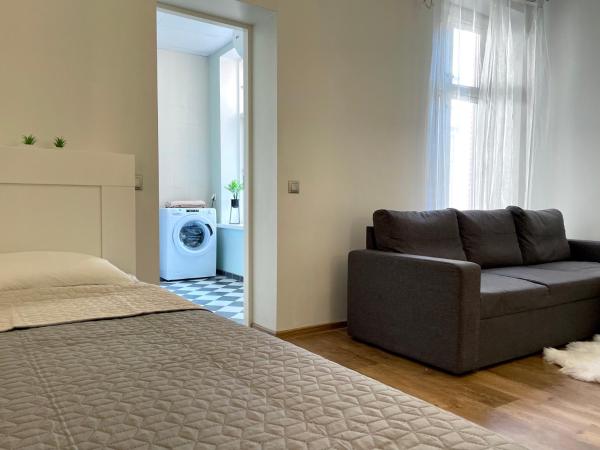 A la foto es mostra l'objecte Spacious Holiday Apartment with Wifi and parking situat a la ciutat de Pärnu.