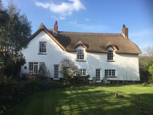 Splatthayes - Honiton