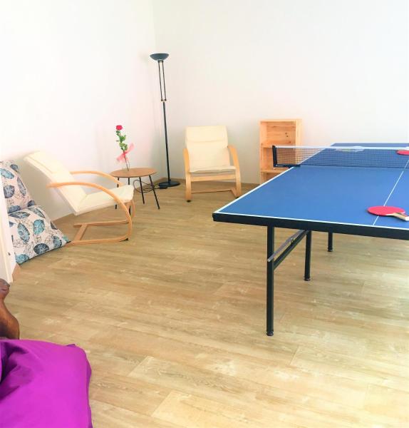 A la foto es mostra l'objecte Sportovni apartman situat a la ciutat de Dolní Radechová.