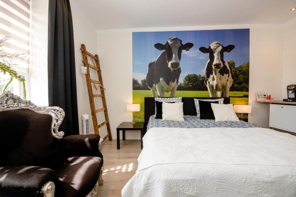 Foto 4: B & B M 3