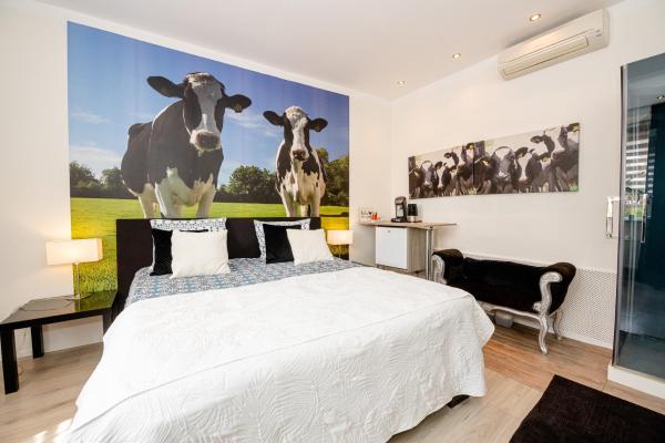 Foto 7: B & B M 3