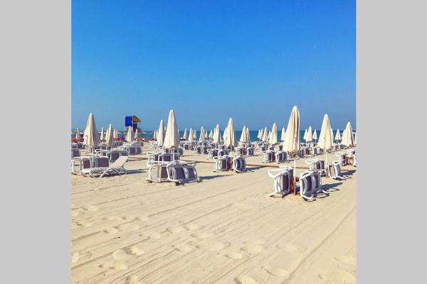 Fun in the Sun photo 7