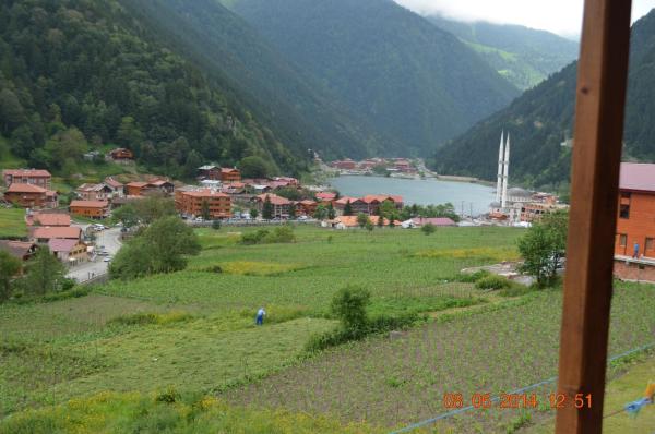 Zeren Pansiyon - Trabzon Il, Türkiye
