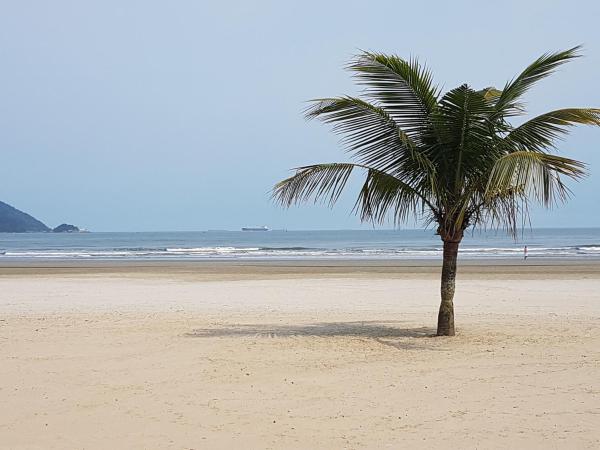 Apartamento Em Frente A Praia Do Embaré - Santos - Santos