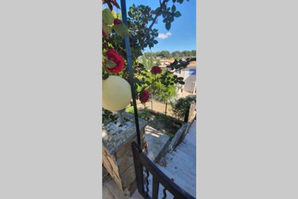 studio entre vallée colline et soleil marseillais, Marsiglia