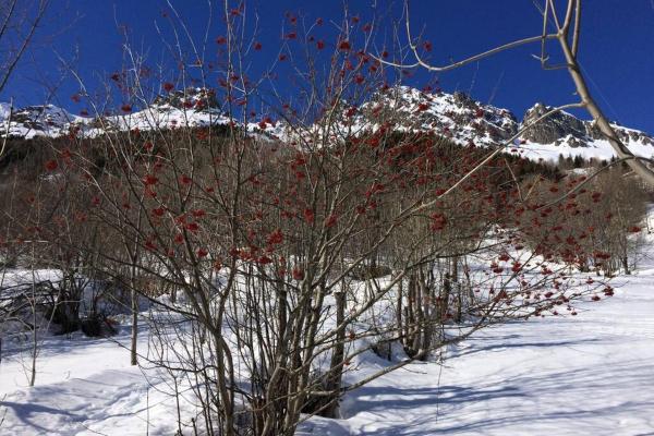 Billede 2: Rustic & A Chalet 'Le Sert du Grey - Vaujany