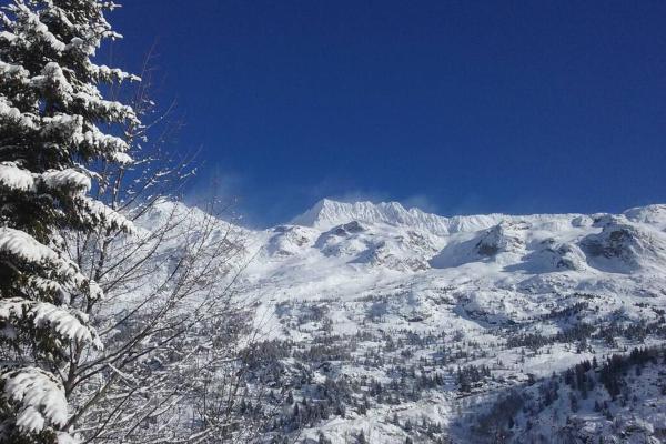 Billede 3: Rustic & A Chalet 'Le Sert du Grey - Vaujany