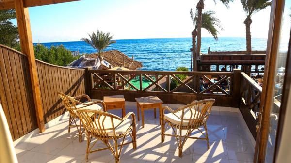 A la foto es mostra l'objecte Penguin Village Dahab situat a la ciutat de Dahab.