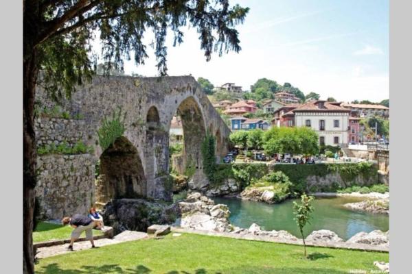 A la foto es mostra l'objecte CANGAS DE ONIS LUCY situat a la ciutat de Cangas de Onís.