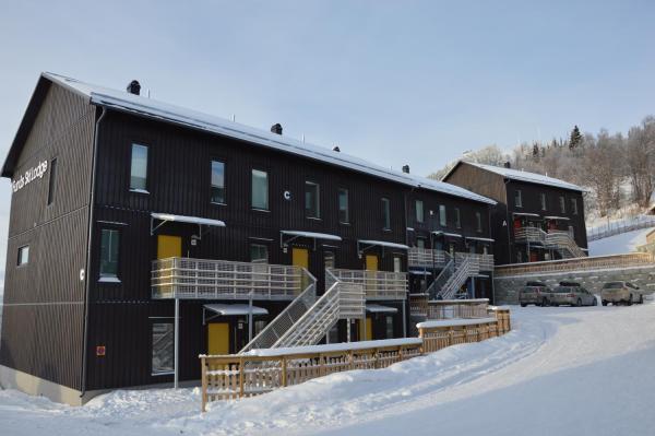 照片显示了位于Funäsdalen市的Ski Lodge Funäsdalen物件。