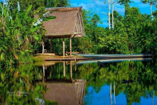 La photo montre l'objet Misahualli Laguna Paikawe B&B situé dans la ville de Ahuano.