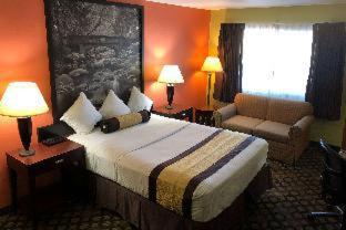 Zdjęcie 9: Super 8 by Wyndham Ontario